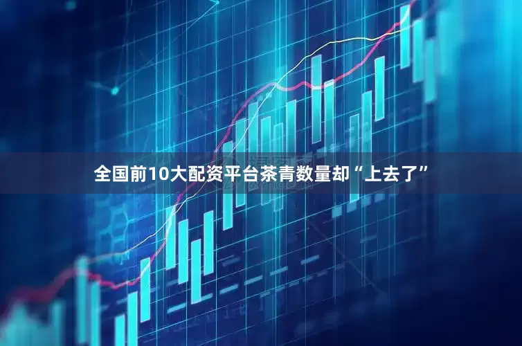 全国前10大配资平台茶青数量却“上去了”