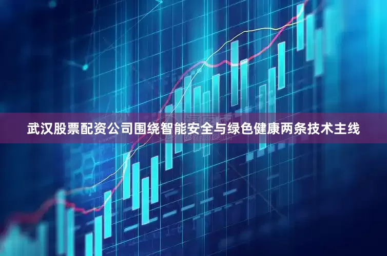 武汉股票配资公司围绕智能安全与绿色健康两条技术主线